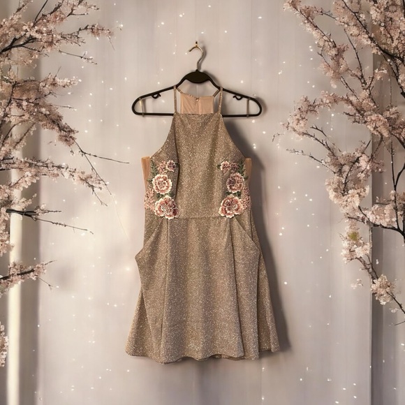 Social Couture Blush Pink Sparkly Dress - Picture 1 of 17